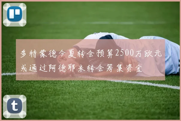 多特蒙德今夏转会预算2500万欧元或通过阿德耶米转会筹集资金