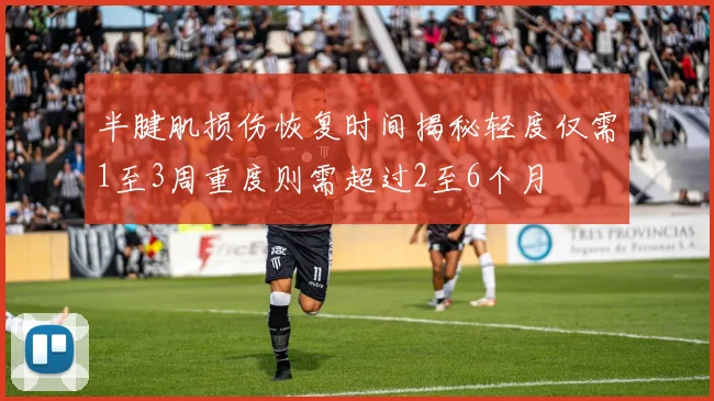 半腱肌损伤恢复时间揭秘轻度仅需1至3周重度则需超过2至6个月