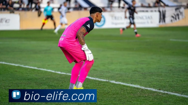 App Interface Preview